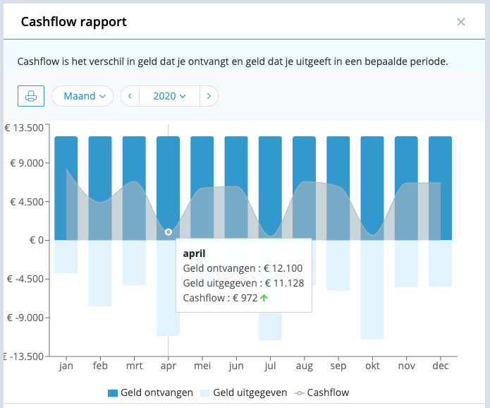 Cashflow rapport