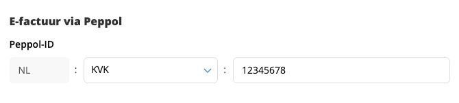 Vul het Peppol-id van je klant in