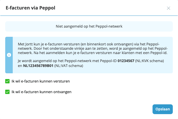 Geef aan dat je E-facturen wil ontvangen