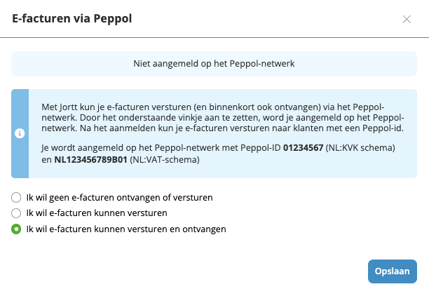 Geef aan dat je E-facturen wil versturen en ontvangen