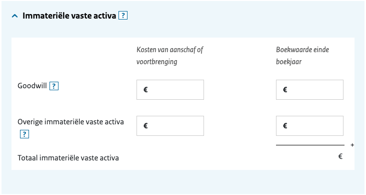 aangifte ib immateriële vaste activa