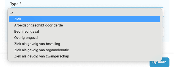 Type verzuim